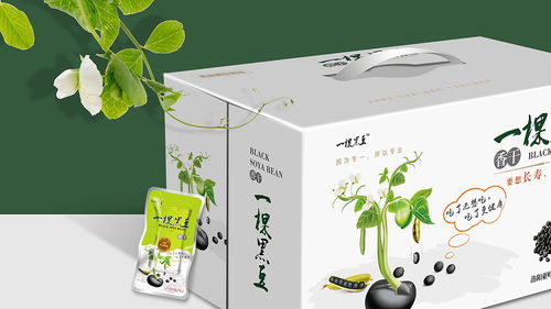 即食豆干包裝設(shè)計 廣州專業(yè)公司的創(chuàng)新與實(shí)踐